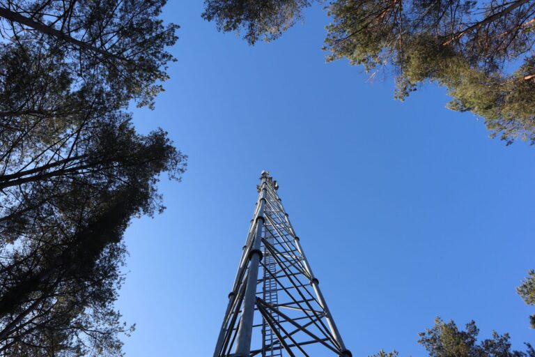 5G-Strahlung: Was aktuelle Studien wirklich zeigen