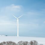 Bioenergie und Klimaschutz: Wie wir die Welt retten können