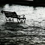 Die erstaunlichen Überlebensstrategien von extremophilen Organismen