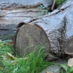 Energiesparen im Alltag: Praktische Tipps für jedermann