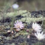 Grüne Karrieren: Berufschancen in Bio, Energie & Technik