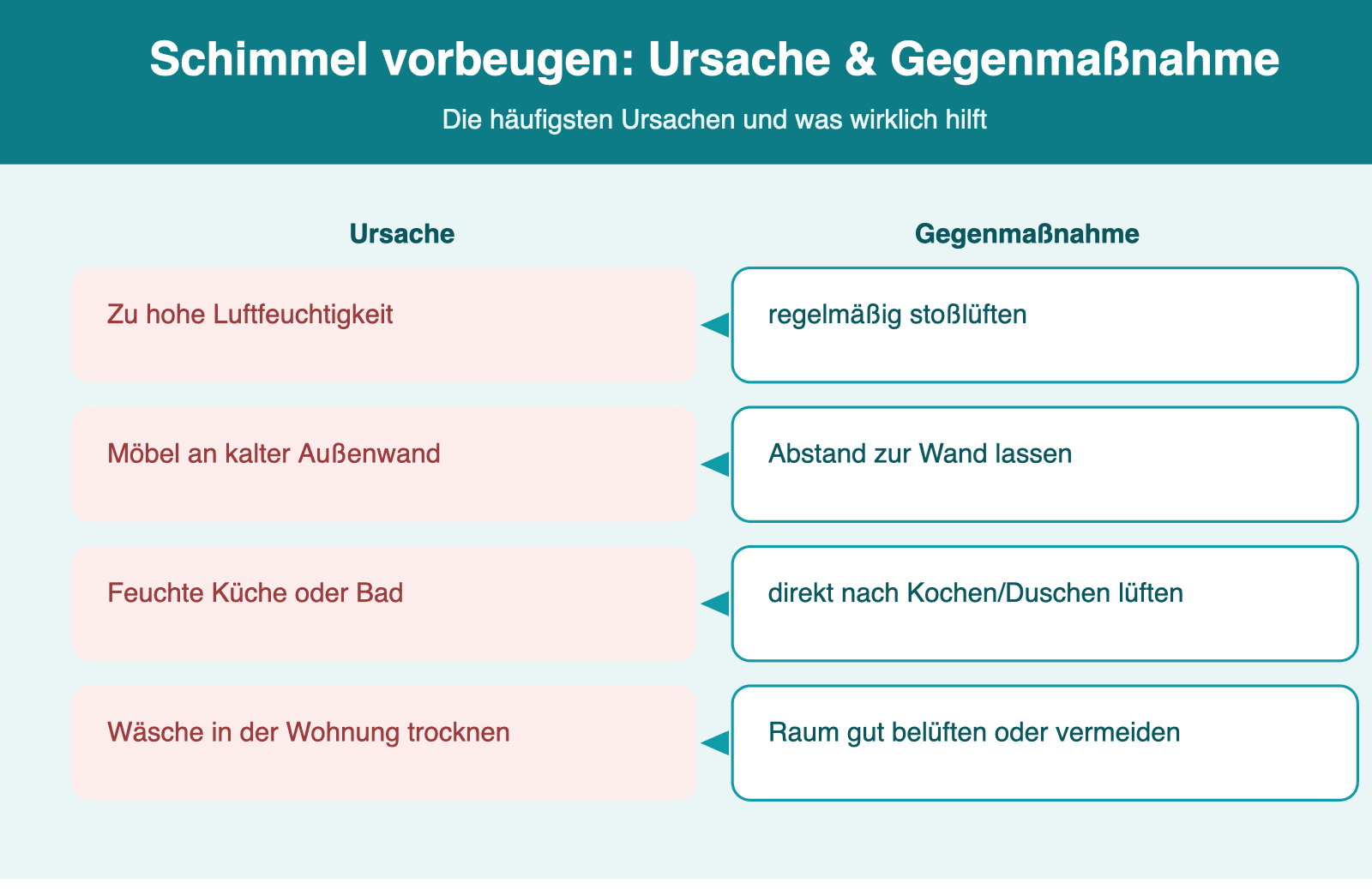 Infografik: Häufige Schimmelursachen und passende Gegenmaßnahmen