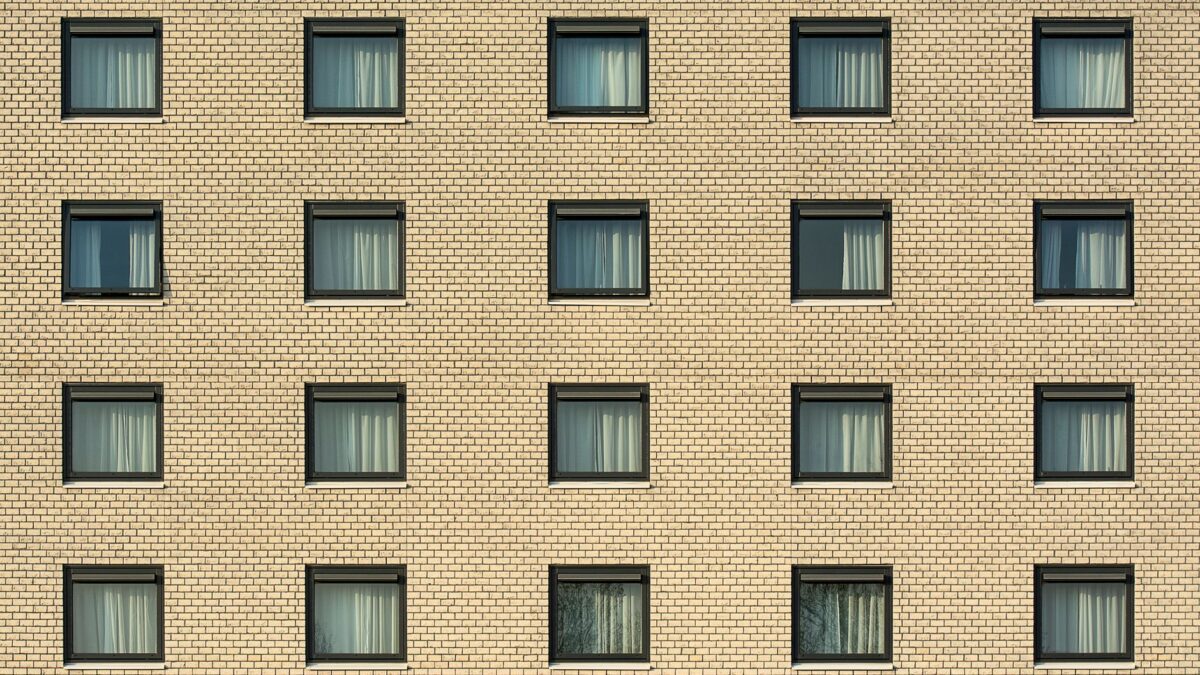 pexels photo 12903840