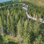 skywalk-allgaeu-oekosystem