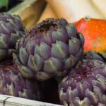 Umweltschutz im Garten: Nachhaltige Tipps für Hobbygärtner