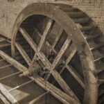 Wie können wir die Energie aus Algen effizient gewinnen?