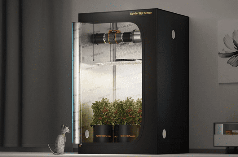 LED-Pflanzenlampen: Ganzjährig Gärtnern bei jedem Wetter in Europa