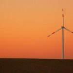 Bioenergie als Lösung: Wie kann sie zur erfolgreichen Umsetzung der Energiewende beitragen?