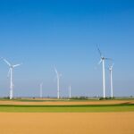 Bioenergie im Aufwind: Nachhaltige Alternativen zur fossilen Energie