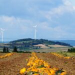 Bioenergie in der Praxis: Erfolgsgeschichten aus der Landwirtschaft