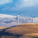 Bioenergie: Mehr als nur grüner Strom