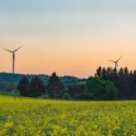 Bioenergie: Nachhaltige Lösungen für die Energieversorgung
