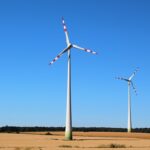 Bioenergie und Klimawandel: Lösungsansätze für eine grüne Zukunft