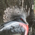 Die erstaunliche Vielfalt von Ökosystemen auf der Erde