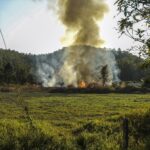 Die erstaunliche Welt der Ökotoxikologie