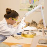 Die erstaunliche Welt der Umweltmikrobiologie