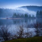 Die erstaunlichen Anpassungen von Pflanzen an den Klimawandel