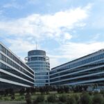 Die erstaunlichen Überlebensstrategien von Pflanzen in urbanen Umgebungen