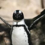 Die erstaunlichen Überlebensstrategien von Tieren