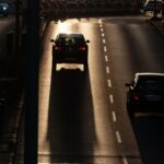 Die erstaunlichen Überlebensstrategien von Tieren in vom Menschen geprägten Landschaften