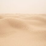 Die erstaunlichen Überlebensstrategien von Wüstenbewohnern