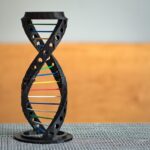 Die Geheimnisse des menschlichen Genoms