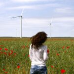 Die Kraft des Windes: Windenergie im Überblick