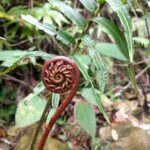 Die neuesten Entwicklungen in der Ökophysiologie