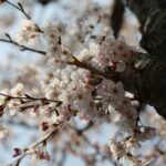 Die Zukunft des Konsums: Wie Technik unser Einkaufsverhalten verändert