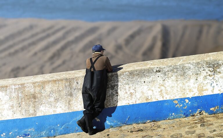 Energieeffizienz im Eigenheim: Tipps für Hausbesitzer Energieeffizienz im Eigenheim: Tipps für Hausbesitzer