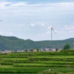 Erneuerbare Energien als Chance: Wie können sie die Energiewende vorantreiben?