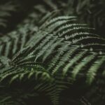 Grüne Technologien: Innovationen für eine nachhaltige Zukunft