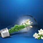 Nachhaltige Kosmetik: Schönheit ohne schädliche Inhaltsstoffe