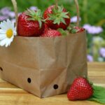 Nachhaltige Verpackungen: Umweltfreundliche Alternativen im Test