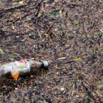 Nachhaltige Verpackungskonzepte: Innovative Ideen für weniger Müll