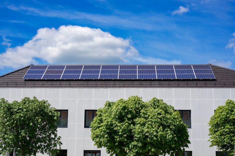 Optimale Reinigung von Solarparks mit PV+ Solarreinigung GmbH