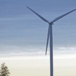 Technik für die Umwelt: Innovative Lösungen für mehr Nachhaltigkeit