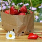 Umweltschonende Verpackungen: Alternativen zum Plastik