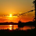 Warum ist die Artenvielfalt so entscheidend für die Natur?