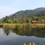 Warum ist die Aufforstung von Wäldern so wichtig für das Klima?