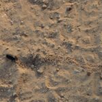 Warum ist die Reduzierung von CO2-Emissionen so wichtig für das Klima?