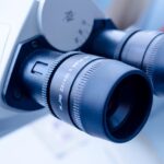 Wissenschaftliche Sensationen: Unglaubliche Entdeckungen erklärt